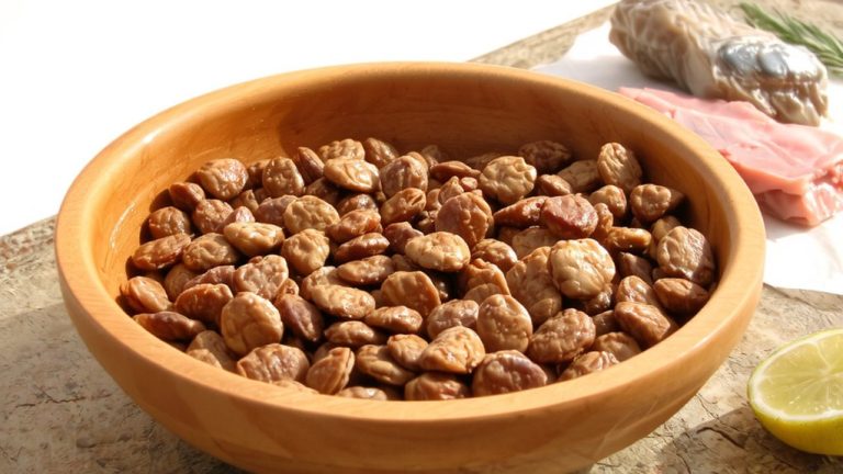 animal fat vitamin d cat food