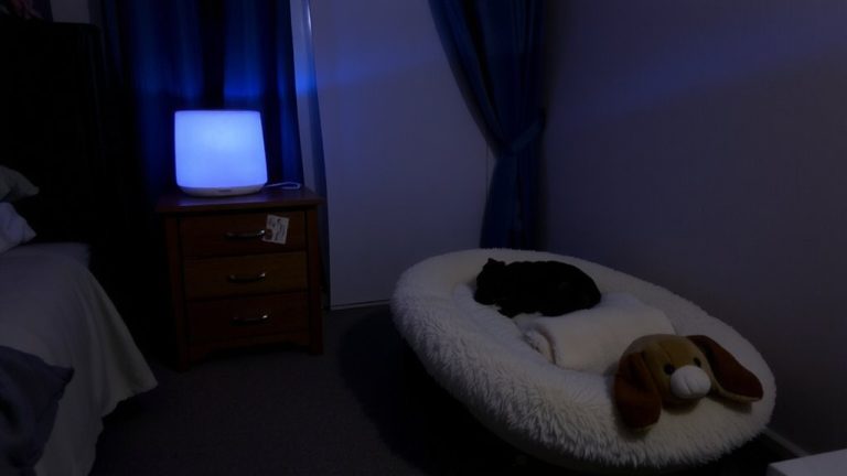 background noise for pet sleep