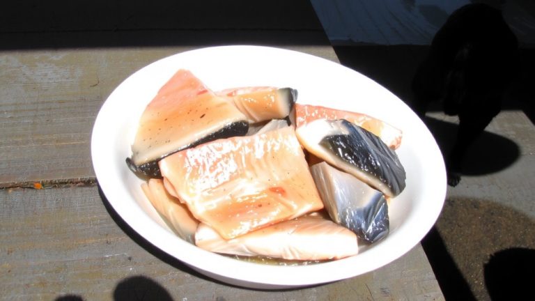 best bait for cats
