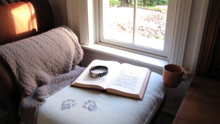 best book for pet loss