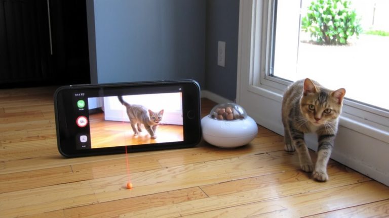 best cat training app