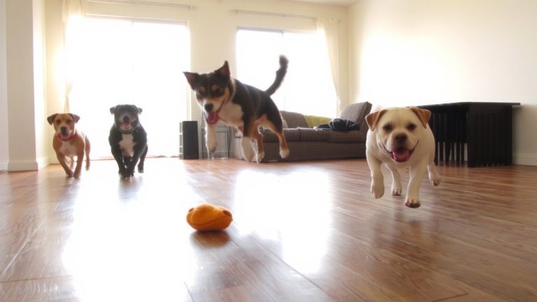 best day ever daycare