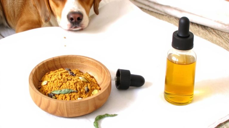 best decongestant for dogs