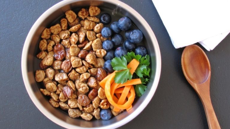 best dehydrated dog food