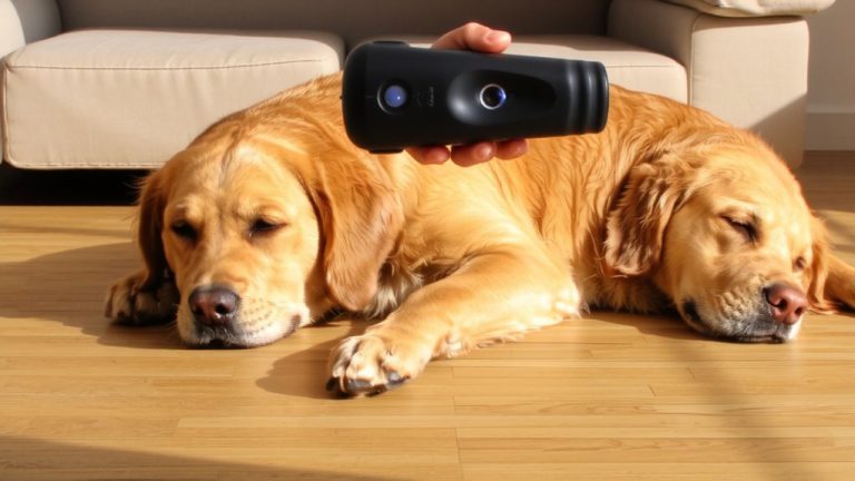 best dog laser therapy device