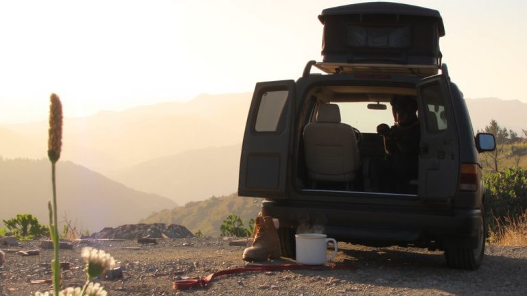 best dogs for vanlife