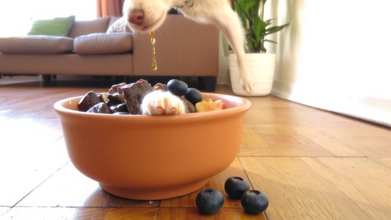 best food for chiweenie