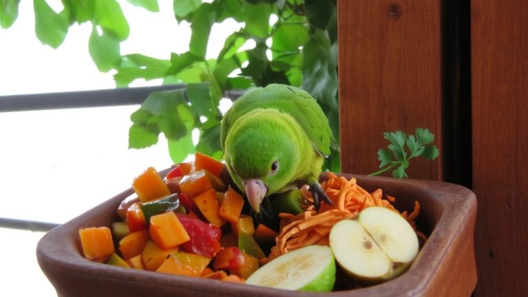 best food for conures