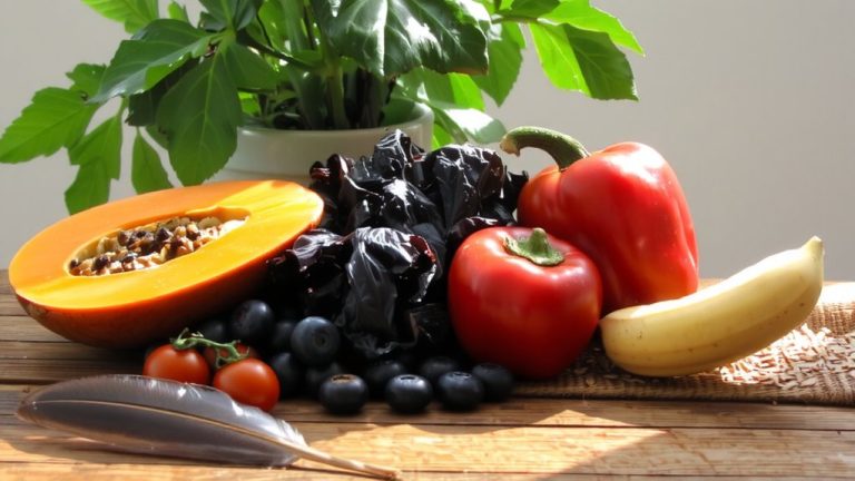 best food for conures