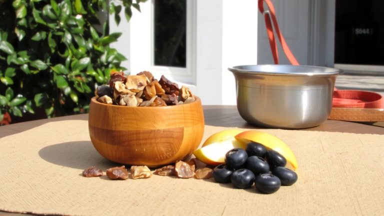 best food for labradoodle