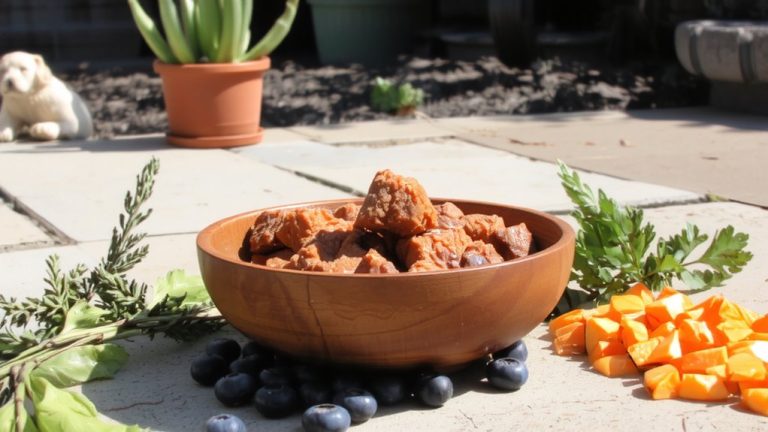 best food for miniature pinscher puppies