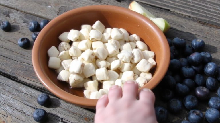 best food for shichon puppies