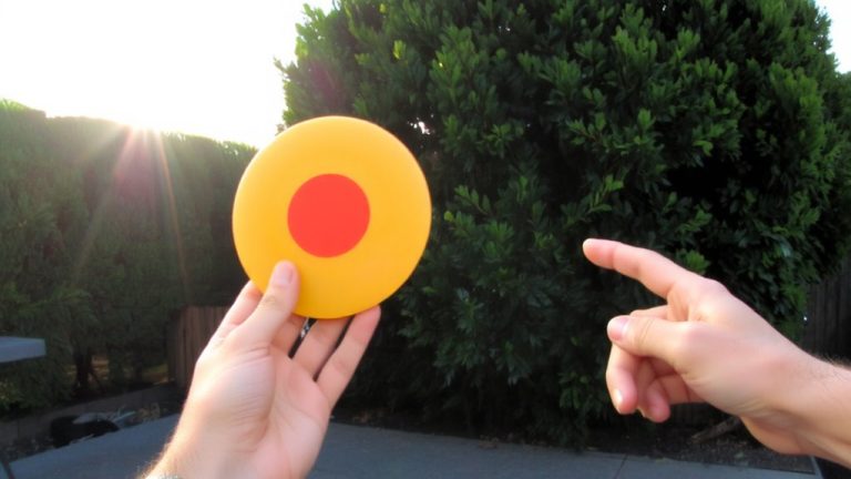 best frisbee choice