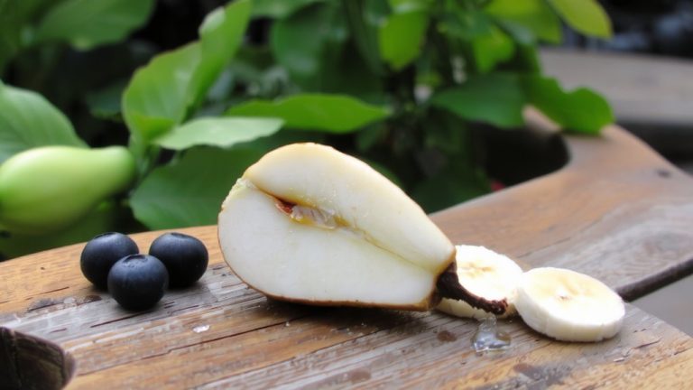 best fruit for french bulldogs