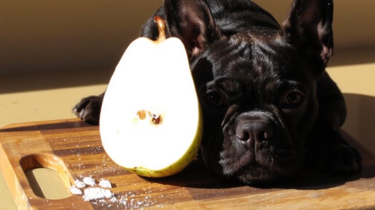 best fruit for french bulldogs