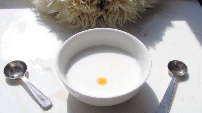 best glucosamine for cats