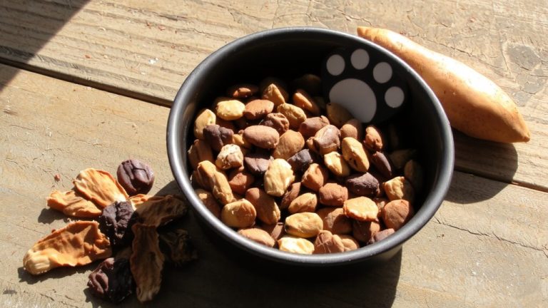 best grain free dry dog food