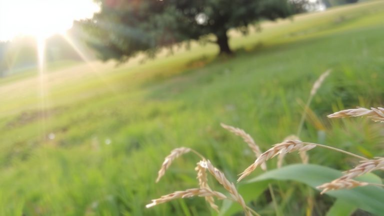 best grasses for rabbits