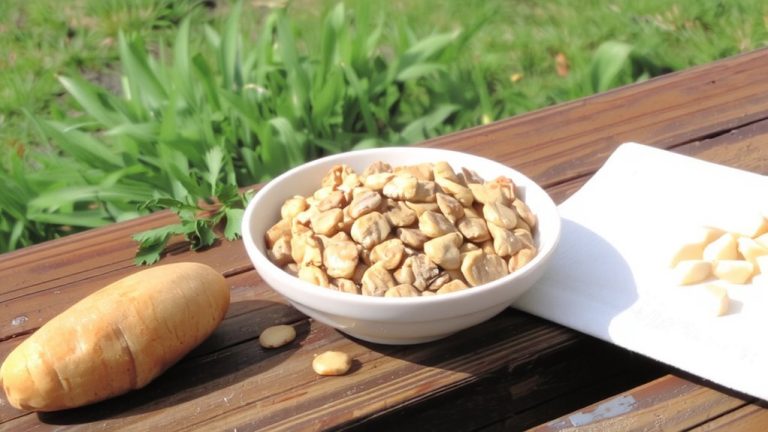 best hypoallergenic puppy food