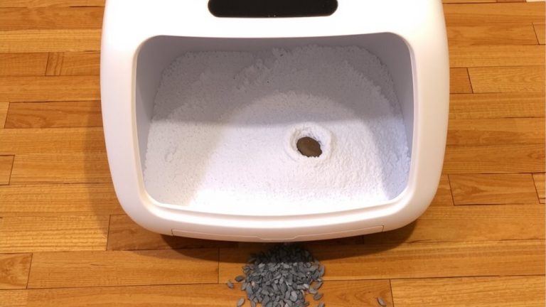 best litter for automatic