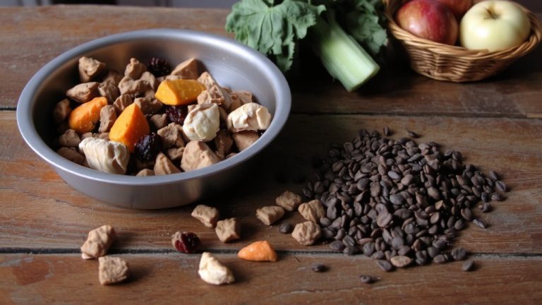 best organic dog food