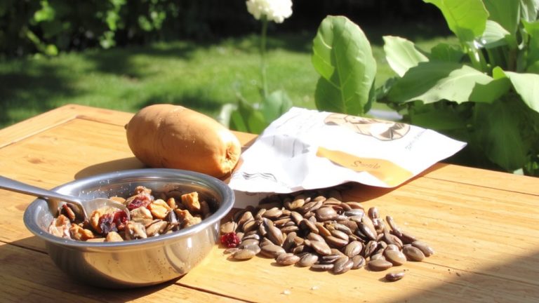 best organic dog food