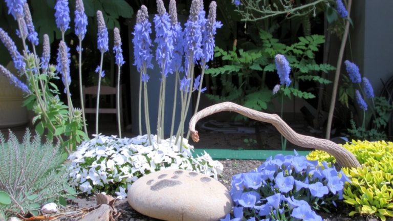 best pet memorial plants
