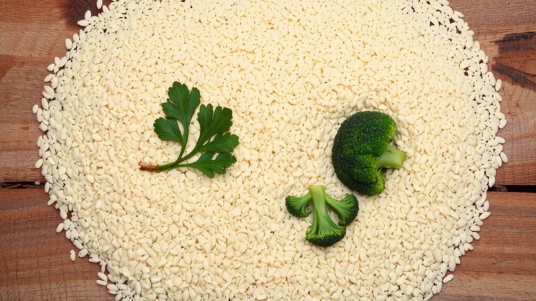 best quinoa for dogs