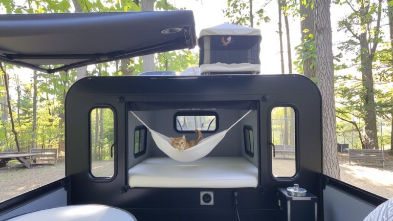 best rv for feline travel