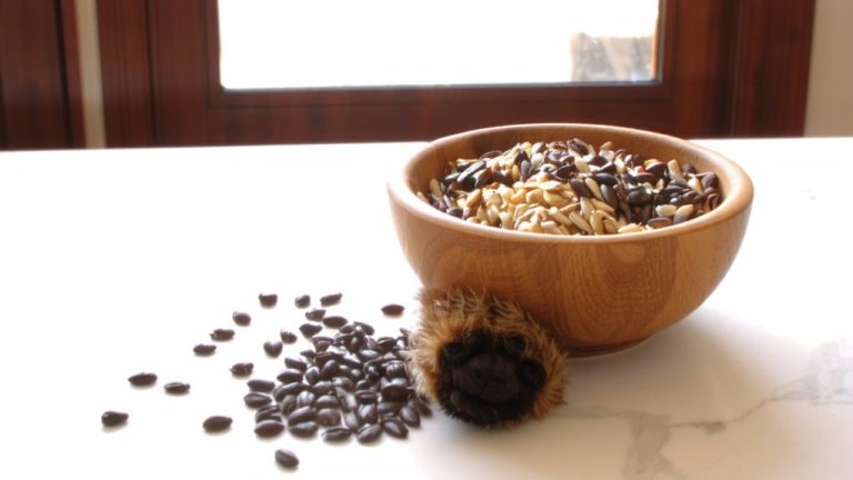 best seeds for dogs