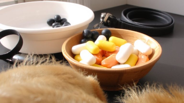 best vitamins for pregnancy