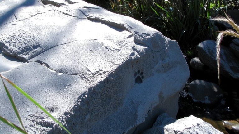 best walking rocks for dogs