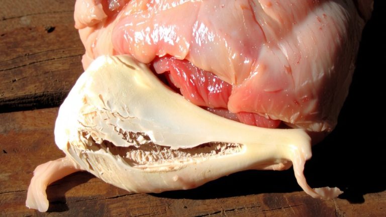 bone in meals provide calcium