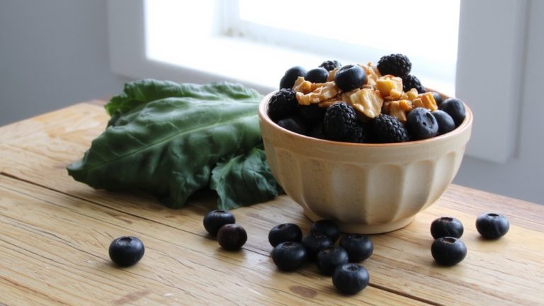 brain boosting dog food selection