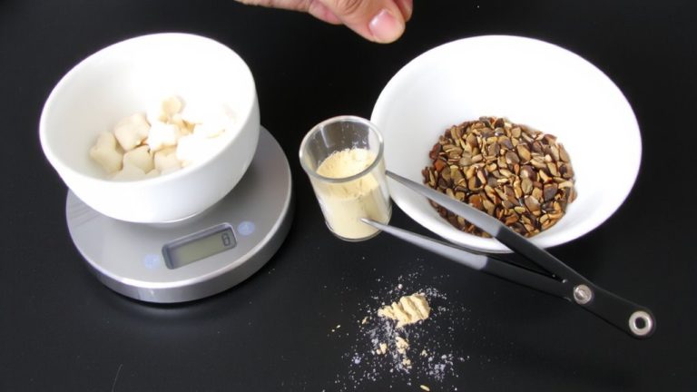 calcium to phosphorus balance in dog food