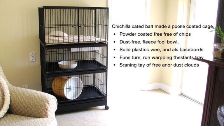 chinchilla safe dust free housing