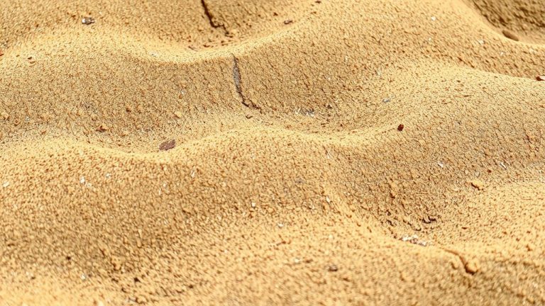 coconut husk substrate ideal