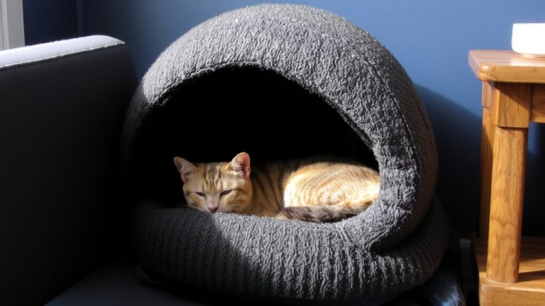 enclosed cat bed selection