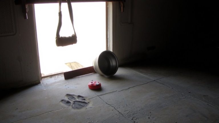 ethical concerns in training