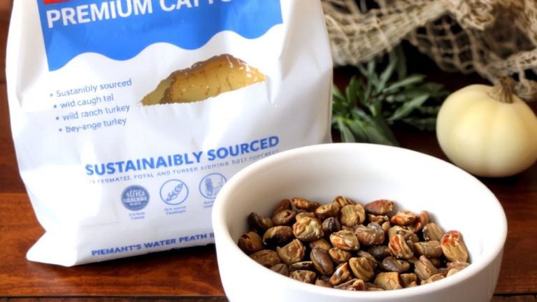 ethical sourcing cat food