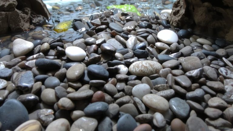 fine smooth non abrasive gravel