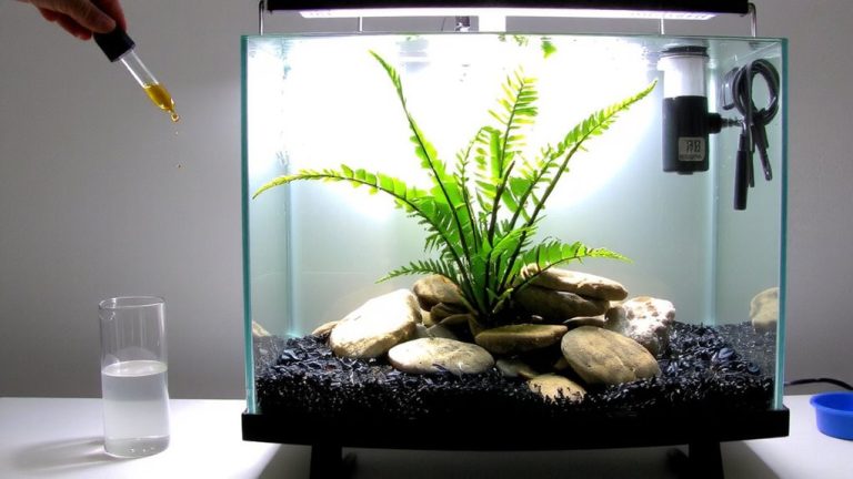 fishless cycling for betta tanks