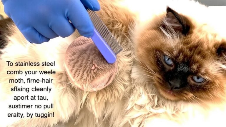 gentle de matting for cats