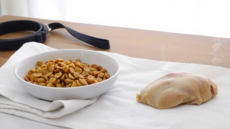 gradual diet transition tips