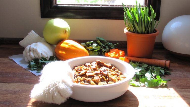 grain free cat food digestive support
