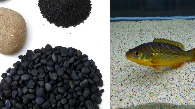 gravel for catfish tanks