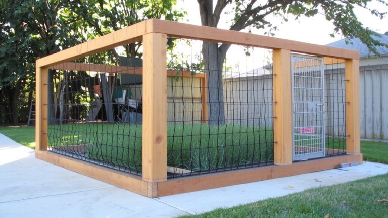 guinea pig predator proof enclosure