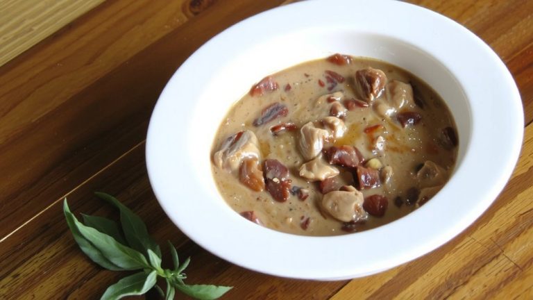 high calorie nutritious cat food