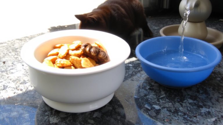 high moisture cat food
