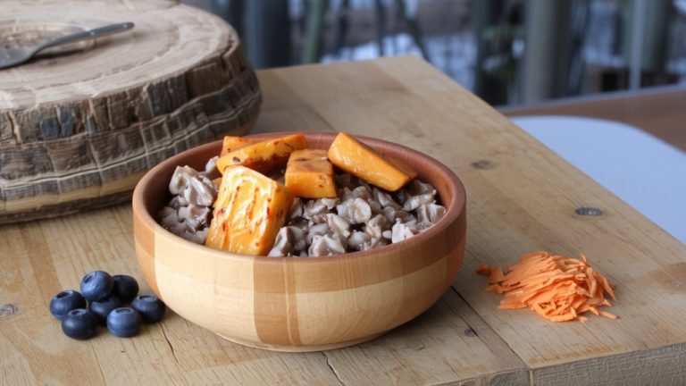 high protein dog food recommended